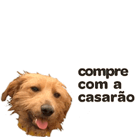 Casarao Sticker by Casarão Imóveis
