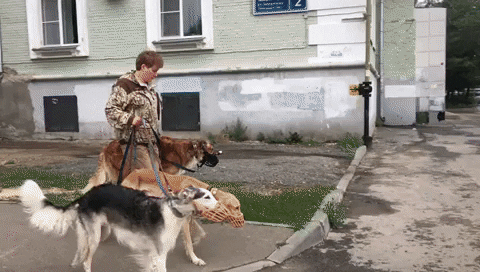 e-Kazan giphyupload GIF
