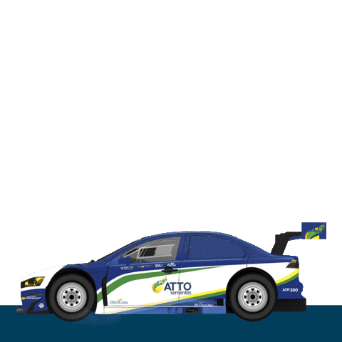 Stock Stockcar Sticker by Atto Sementes
