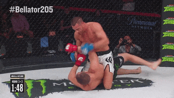 Stop It Lets Go GIF by Bellator