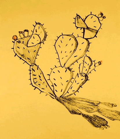 Evie_036 giphyupload GIF