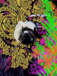 Honey Pollen GIF by The LSD Hotel