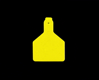 DatamarsLivestock tag goat pig sheep GIF