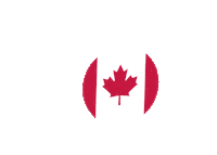 Martial Arts Mma Sticker by Train Alta