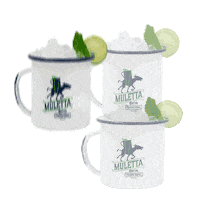 tequila josecuervotradicional Sticker by Jose Cuervo