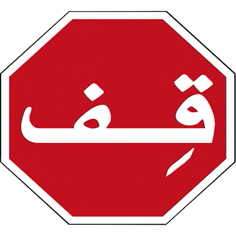 Beirutblast GIF by Thierry Van Biesen