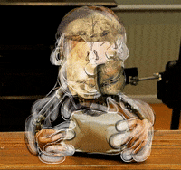 Lab Creator GIF by Alex Boya