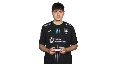 Tsg Hoffenheim Fly Sticker by Bundesliga
