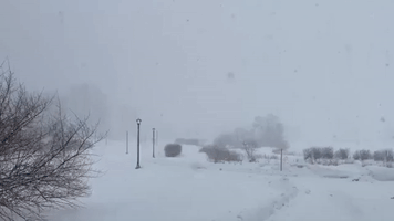 Heavy Lake-Effect Snow Falls on Oswego
