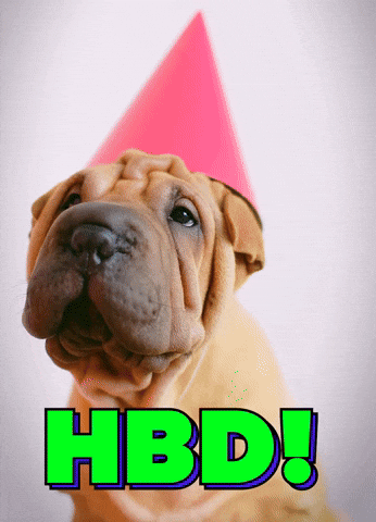 Celebrate Happy Birthday GIF by Sealed With A GIF