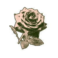 Rose Sticker by Todo Me Lleva A Ti