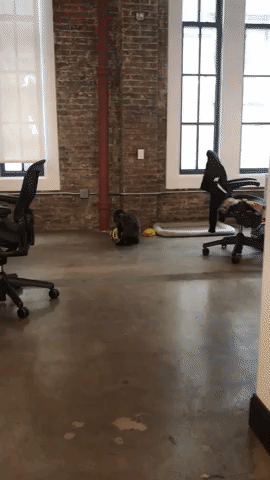 test GIF