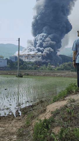 a0562ab096a24a46aad04ced9ce4af05 giphyupload GIF