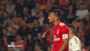 sl benfica slbgifs GIF by Sport Lisboa e Benfica