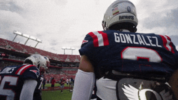 Football Nfl GIF by New England Patriots