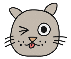 Cat Wink GIF by Thank You Coffee