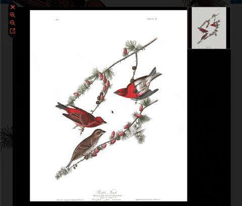 photoshopvip giphyupload GIF