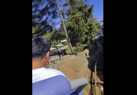 shayanelhawk giphyupload giphycreatortest hawk cooked GIF