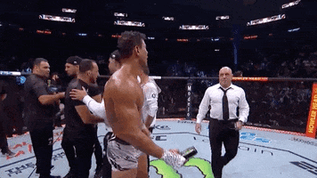 Mixed Martial Arts Sport GIF by UFC