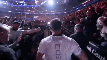 Mixed Martial Arts Sport GIF by UFC