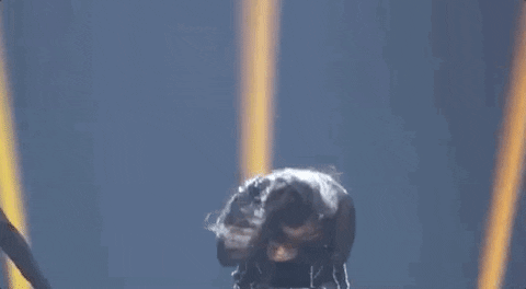 Vmas 2019 GIF by 2020 MTV Video Music Awards