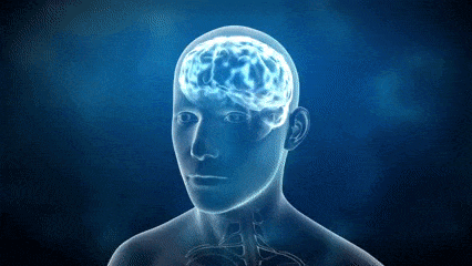 dustuncan giphyupload GIF