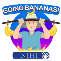 Indonesia Sticker by NIHI sumba