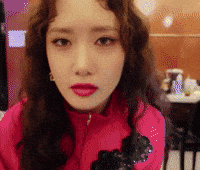 선지 GIF