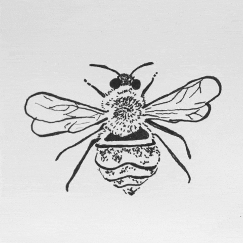 Animation Illustration GIF by ellie_moon_an