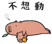 Capybara 懶 Sticker