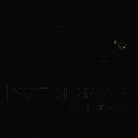 Saskatoon GIF by NuitBlancheYXE