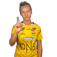 Champions League Respect Sticker by LSK Kvinner FK