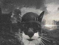 Somington cat horror cats silly GIF