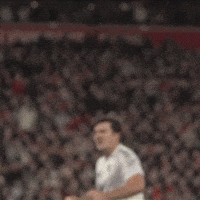 Lets Go Celebration GIF by Manchester United