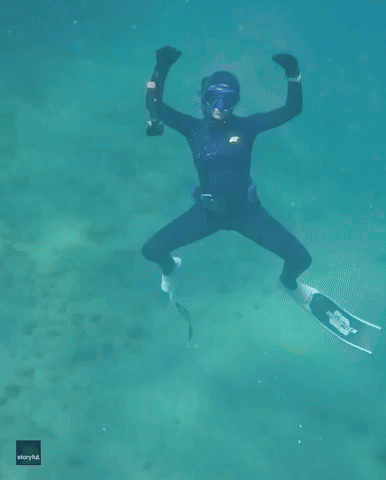 Diver Puts Hilarious Underwater Spin on TikTok Fairy Trend