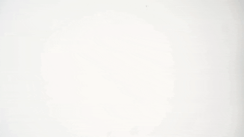 Swag No GIF by Copenhagen Flames