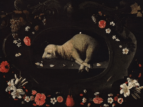 Ms_AdrianBlack giphygifmaker giphyattribution lambfall GIF