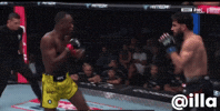 Illa GIF