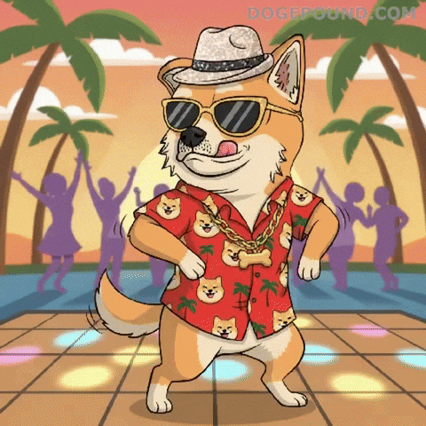 Happy Lets Go GIF by Doge Pound