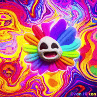 Glitch Rainbow GIF by Evan Hilton