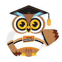 bragamello coruja cbm braga mello bragamello Sticker