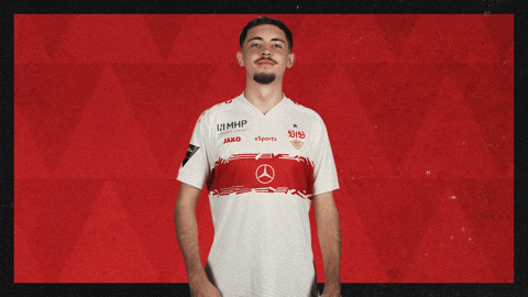 Vfb Stuttgart Hello GIF by Bundesliga