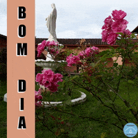 Beneditinas GIF by Mosteiro da Virgem