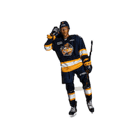 ottershockey ohl erie otters otters hockey erie otters hockey Sticker