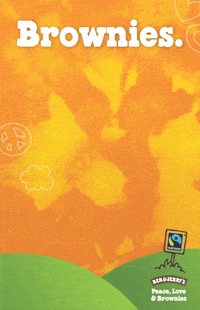 Ben & Jerry's Salted Caramel Brownie Peace Pop