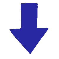 Fleche Sticker