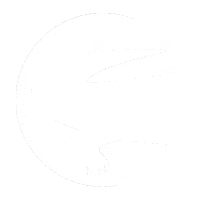 crocodileglobal crocodileglobal Sticker