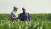 channelseed agriculture corn farmer farming GIF