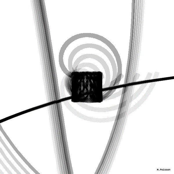 GIF by Michel Poisson