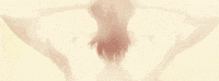 hunter x hunter hh GIF